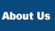 Learn about GT Performance Group, our history, our products, and other information.